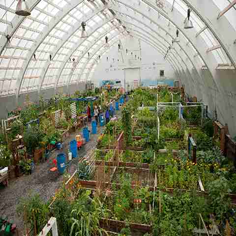 نایلون گلخانه شیراز با شرایط فوق العاده